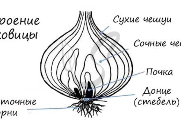 Ссылки в тор