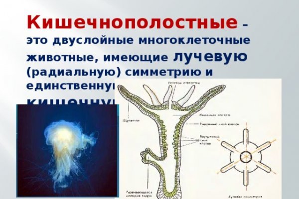 Кракен это современный даркнет маркет плейс